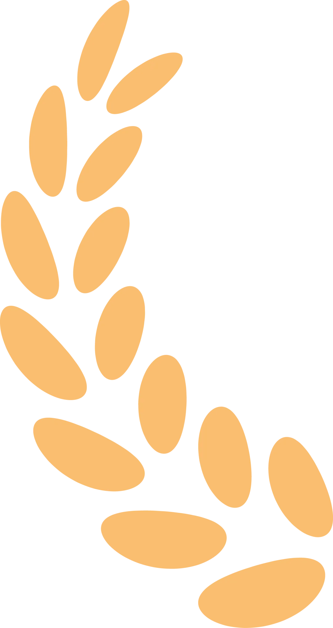 名单公布!少儿出版开启“十五五”新征程AG真人平台app2025桂冠童书最终(图10) 名单公布!少儿出版开启“十五五”新征程AG真人平台app2025桂冠童书最终(图10)